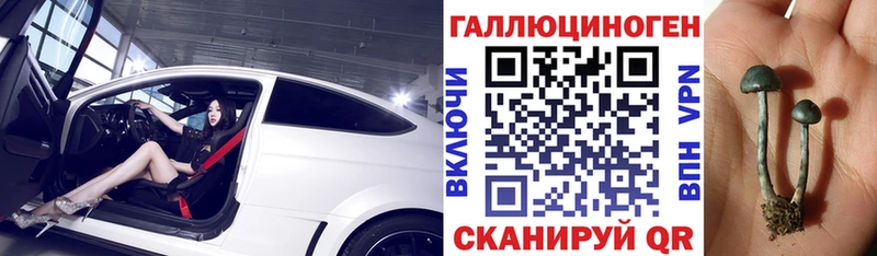 Галлюциногенные грибы прущие грибы  Протвино 