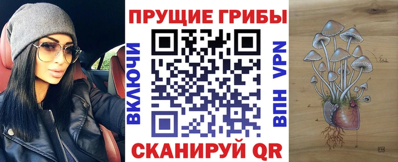 Галлюциногенные грибы Psilocybe Протвино