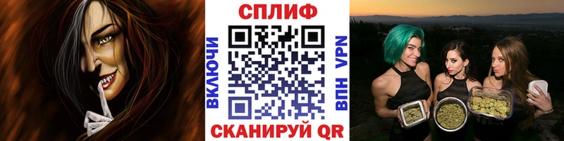 Бошки Шишки план Протвино